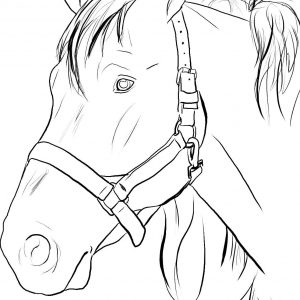 300x300 Coloring Pages Of A Horse Head New Horse Head Coloring Pages