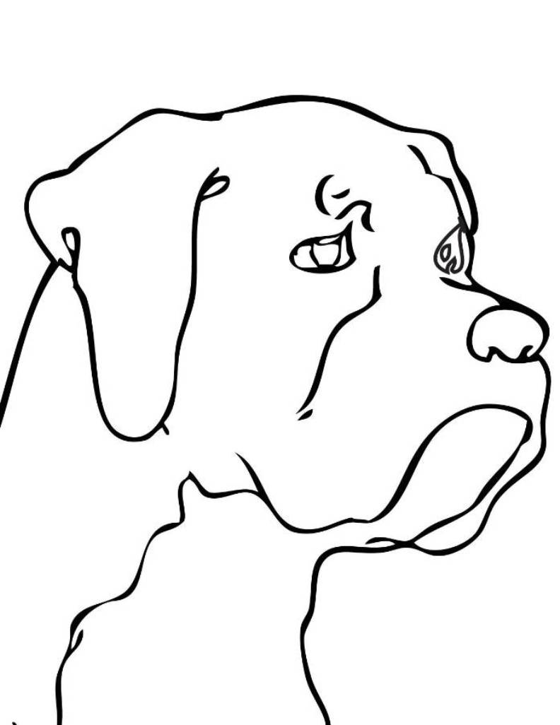 792x1026 Dog Head Coloring Pages Animal Of Pagestocoloring Arresting Horse