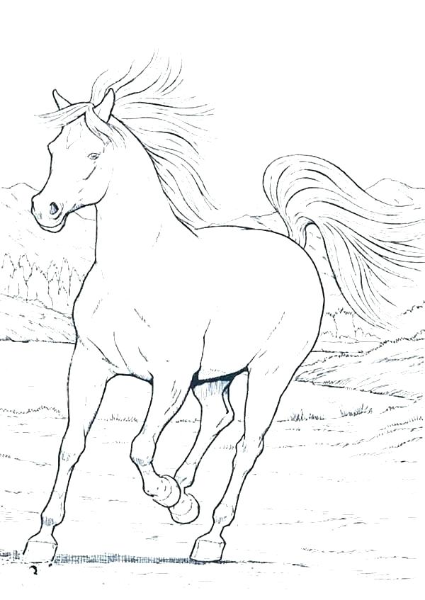 600x847 Free Horse Coloring Pages And Horse Head Coloring Page Realistic
