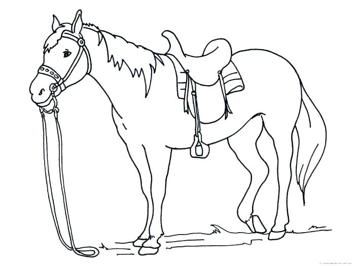 700x525 Horse Head Coloring Page This Is Coloring Pages Horses Images