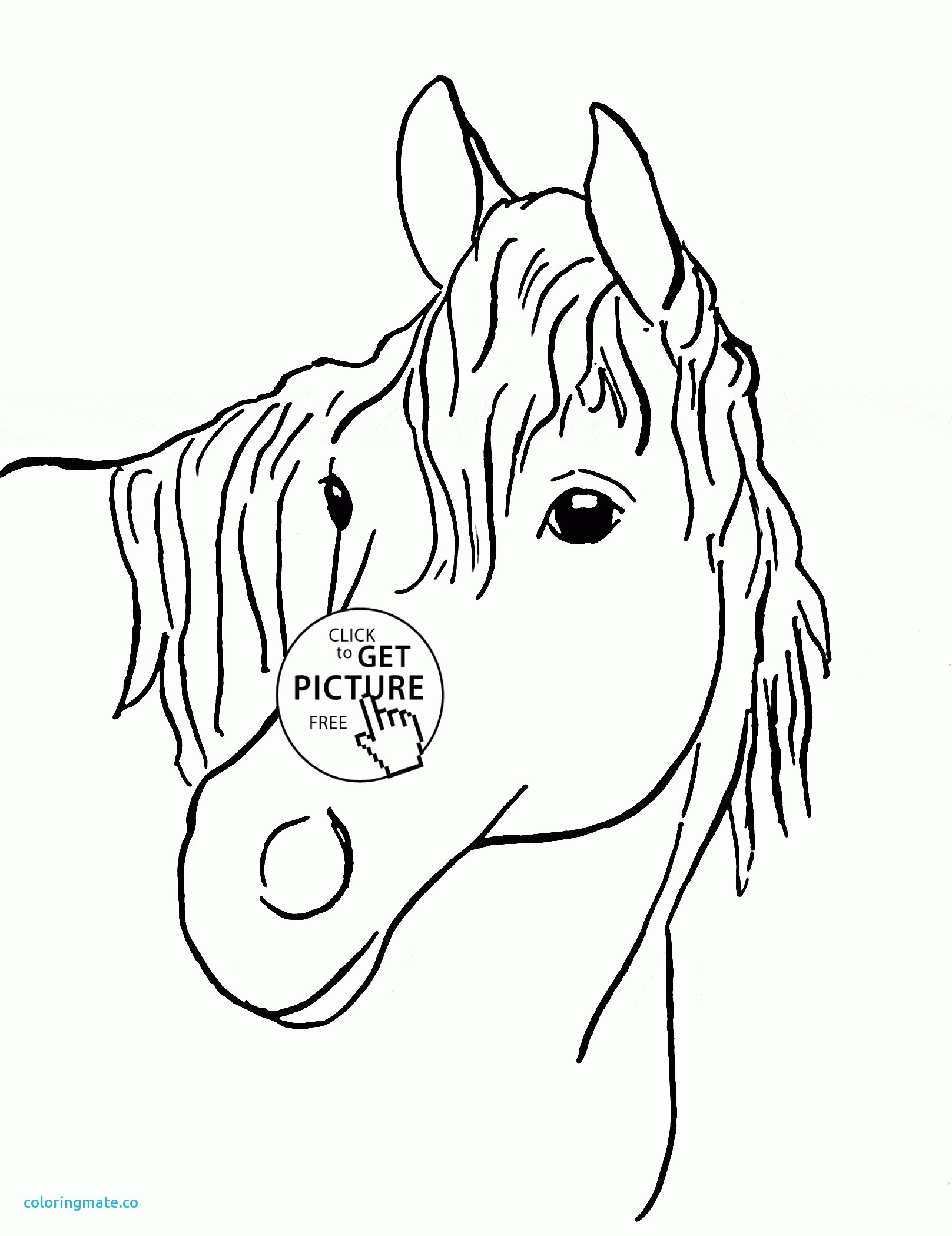 1617x2100 Coloring Pages Horse Head Book Page Sheets Printable Profile