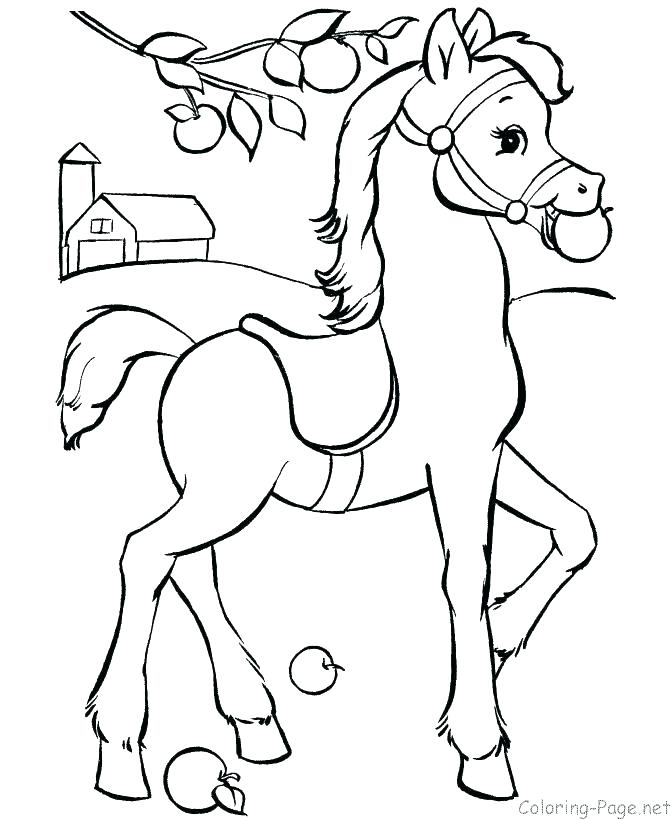 670x820 Wild Horse Coloring Pages Horses Coloring Page Horse Color Page