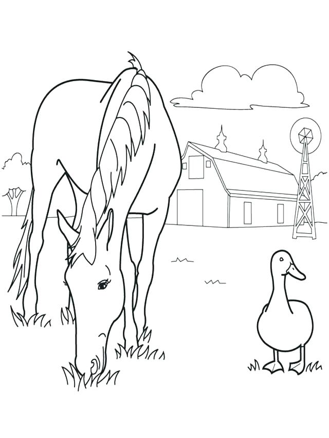 640x853 Wild Horse Coloring Pages Wild Horses Coloring Pages Spirit