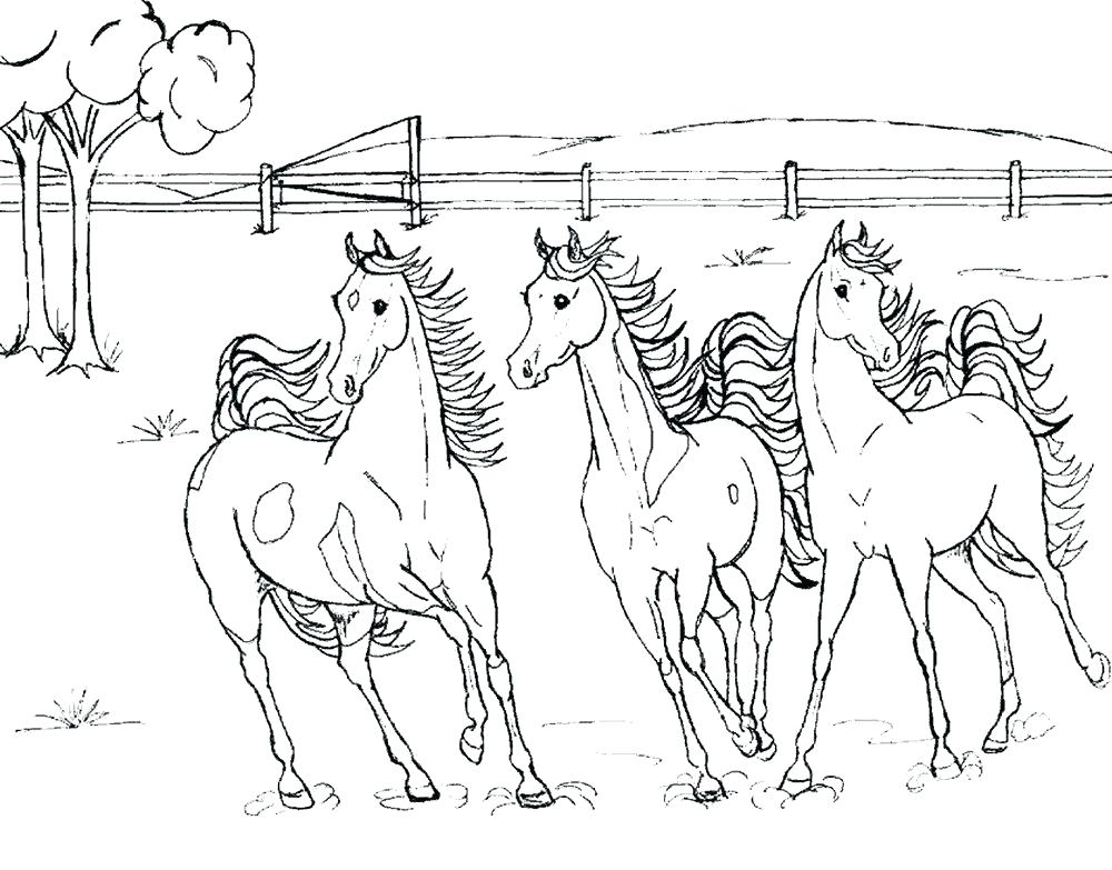 1000x783 Wild Horses Coloring Pages Coloring Pages Of Horses Printable