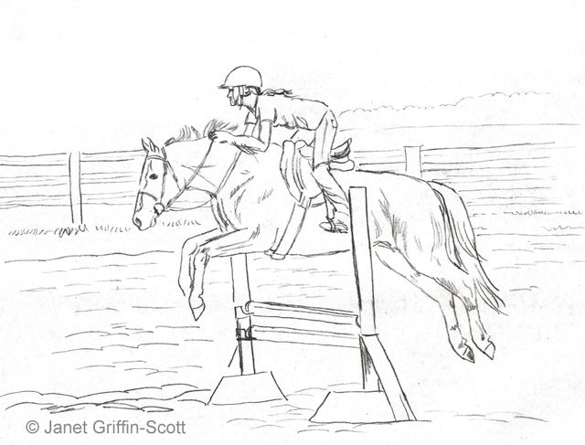 640x487 Pencils Ready Draw A Jumping Show Horse Colored Pencils