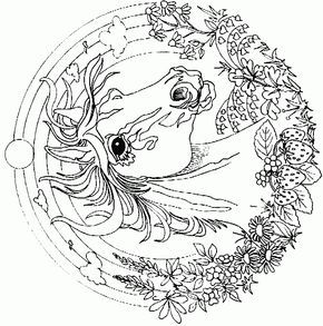 290x293 Detailed Coloring Pages For Adults Coloring Page Horse Mandala