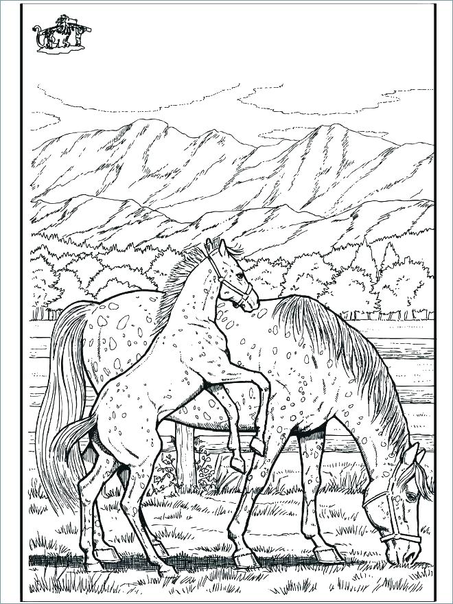660x880 Race Horse Coloring Pages To Print Professional