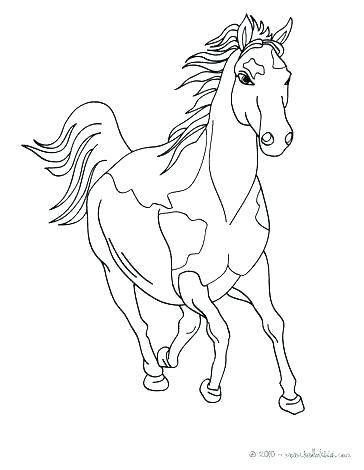 364x470 Breyer Coloring Pages Horse Coloring Pages Coloring Pages 1 Horse