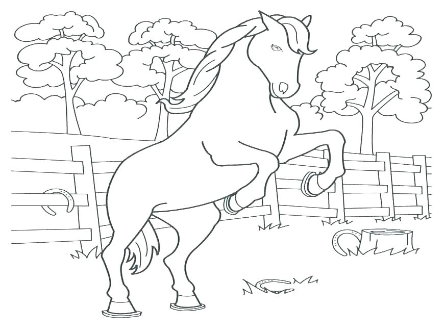 870x653 Horse Jumping Coloring Pages Colouring Pages Horses Jumping