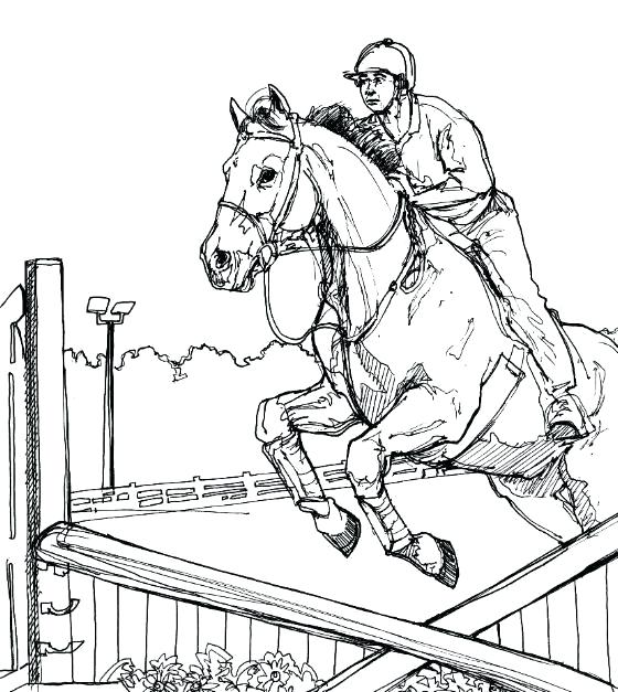 560x627 Horse Riding Coloring Pages E Jumping Coloring Pages Color Es