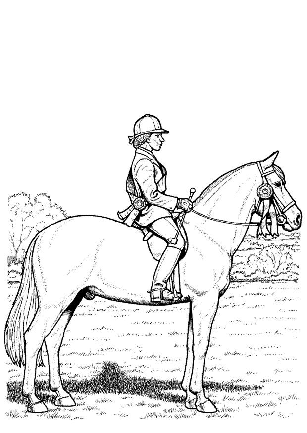 620x875 Coloringcontest2.jpg Color Horses Competition