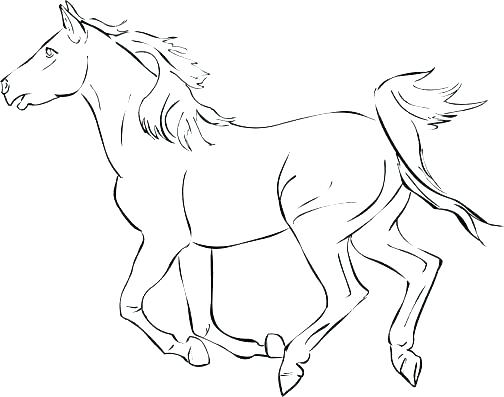 504x397 Horse Riding Coloring Pages
