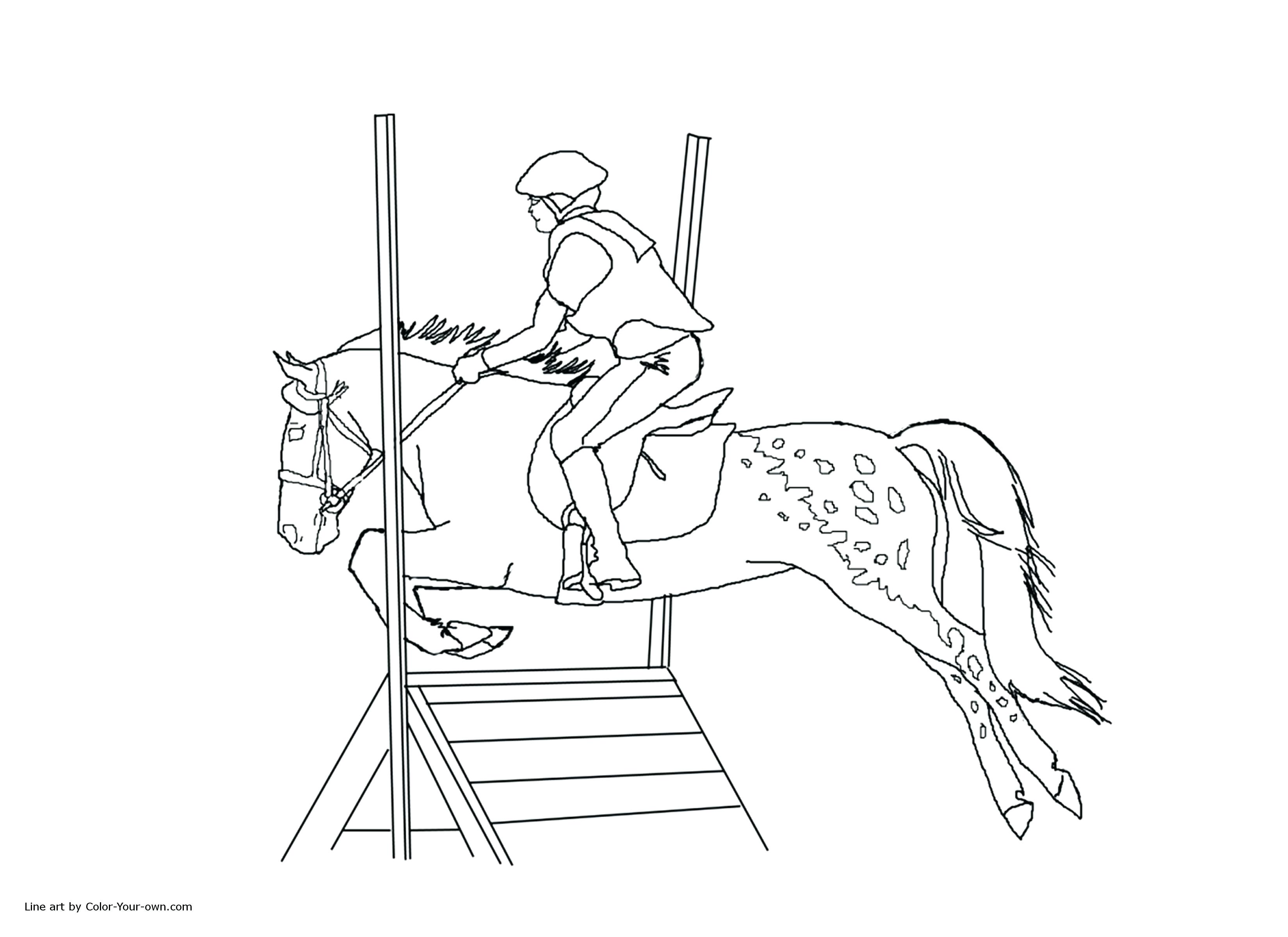 3300x2400 Fresh Coloring Horse Racing Coloring Pages