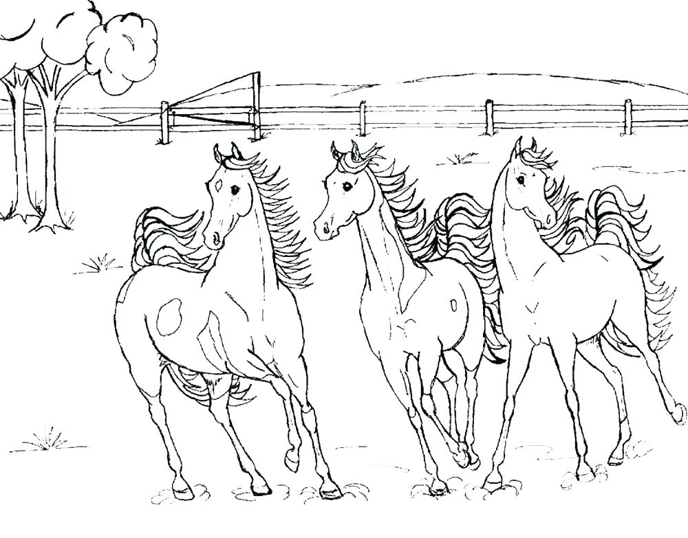 1000x783 Horse Coloring Pages Free Running Horse Coloring Pages Horse