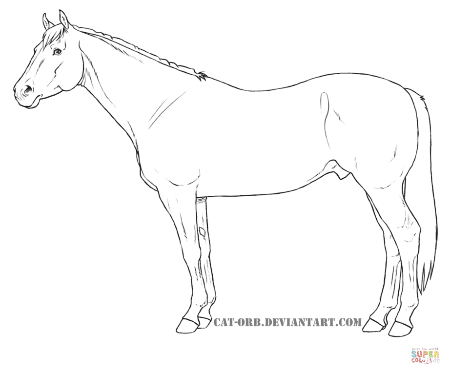 922x766 Quarter Horse For Coloring Page