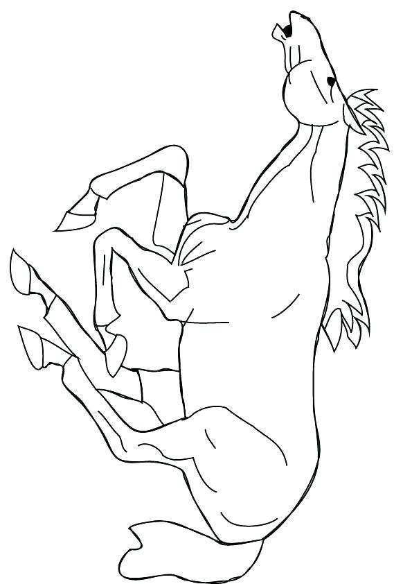 595x842 Realistic Horse Running Coloring Pages Free Animal Download