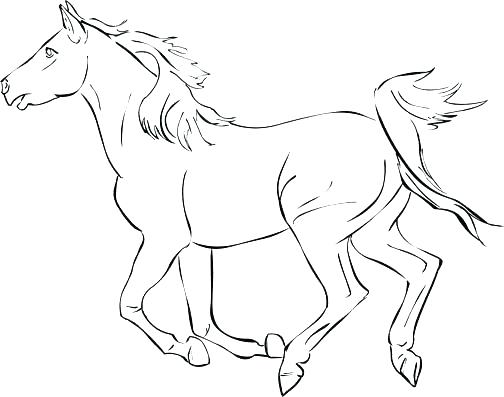 504x397 Coloring Pages For Horses Color Pages Of Horses Coloring Pages