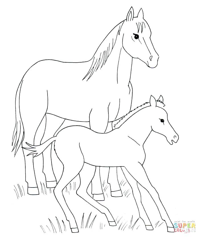 710x840 Horse Color Page Horse Head Coloring Pages Running Coloring Pages