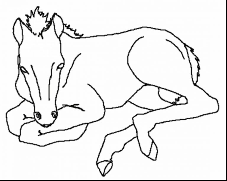 768x614 Coloring Pages Horse Trailer Fresh Wonderful Baby For Kids