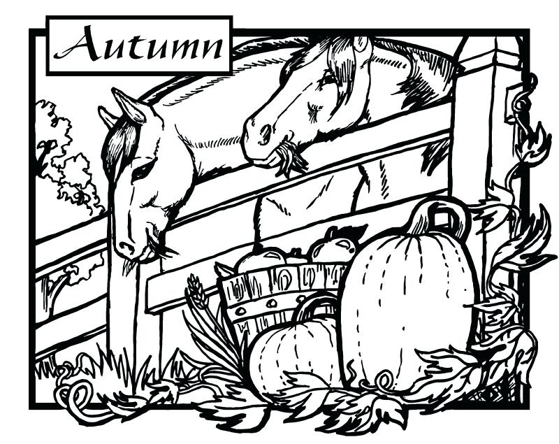 800x635 Good Horse Trailer Coloring Pages For Coloring Book Cover A True