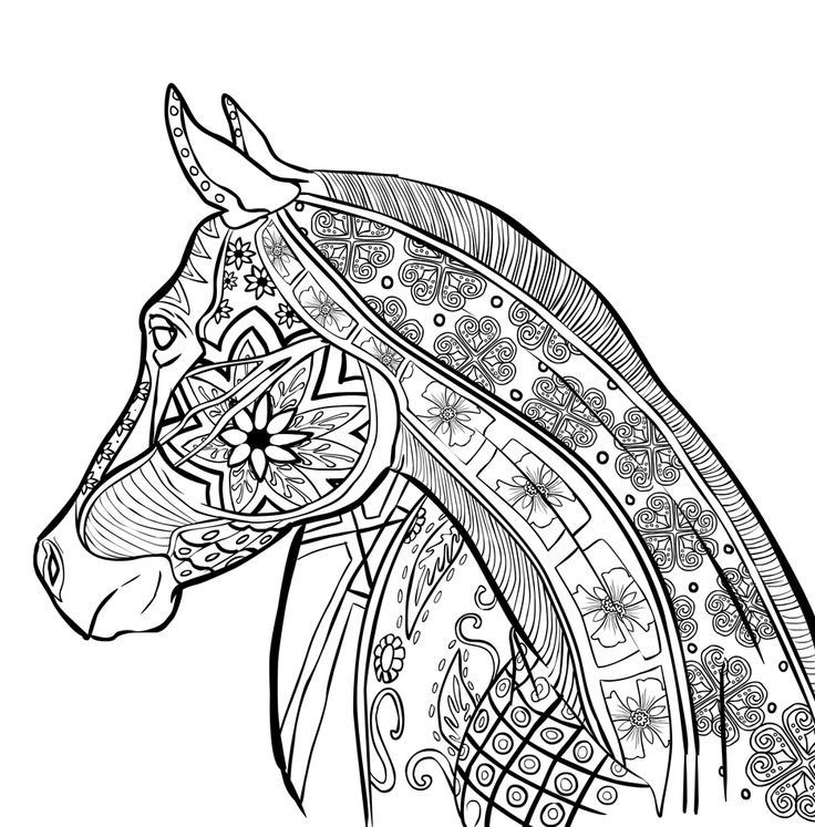 736x747 Zentangle Coloring Pages 278234