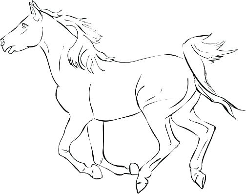 504x397 Horse Riding Coloring Pages Horse And Rider Coloring Sheets