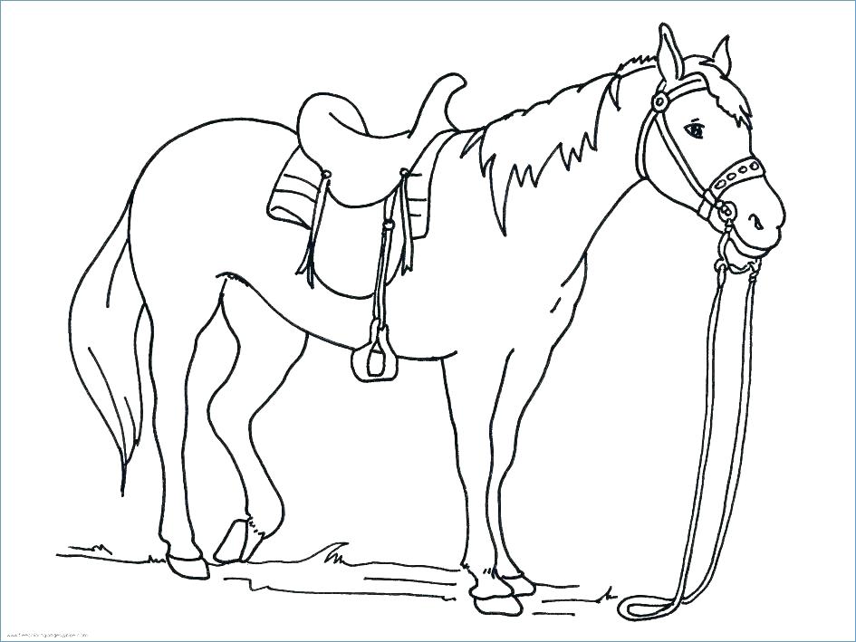 945x709 Coloring Pages Of A Horse Deepart