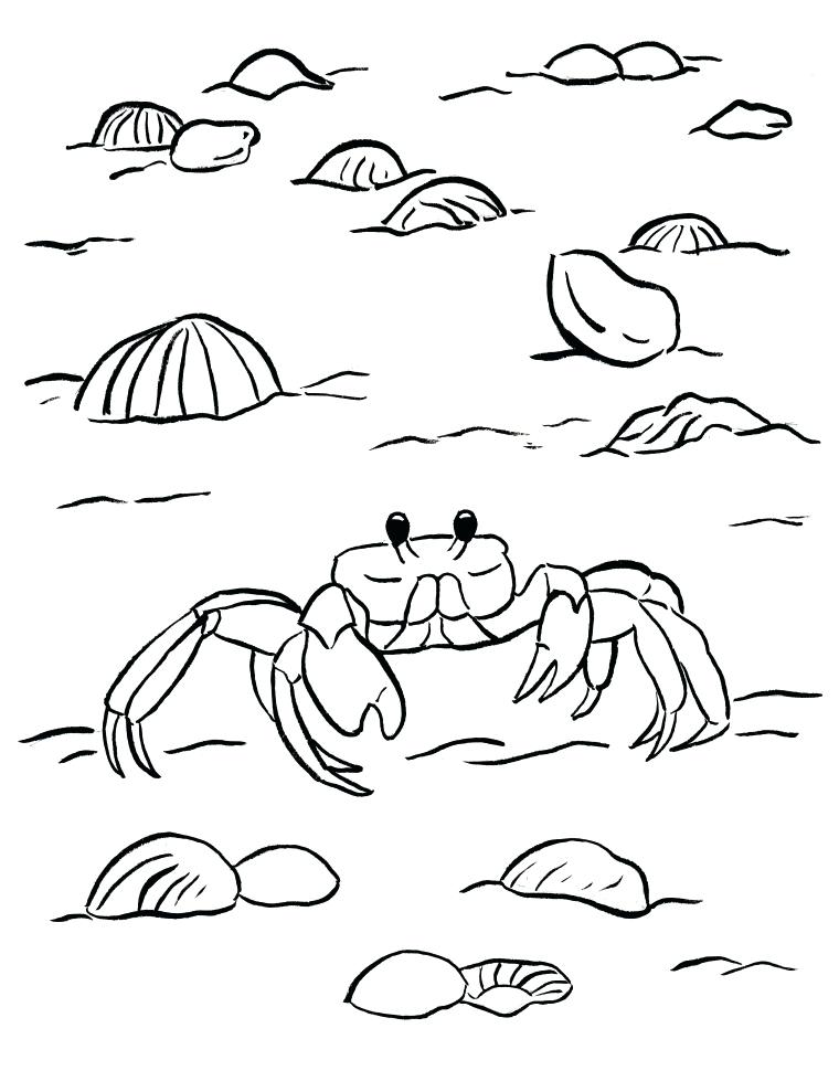 760x989 Crab Coloring Pages Crab Coloring Page Ghost Crab Coloring Page