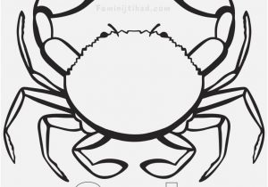 300x210 Crab Coloring Pages Graphic Unbelievable Horseshoe Crab Cartoon