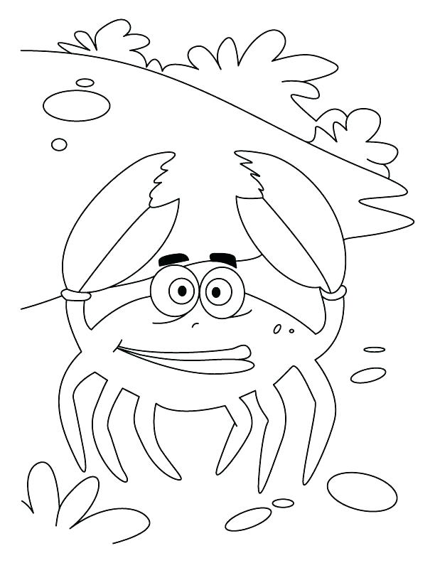 612x792 Crab Coloring Pages Hermit Crab Without Shell Coloring Page Hermit