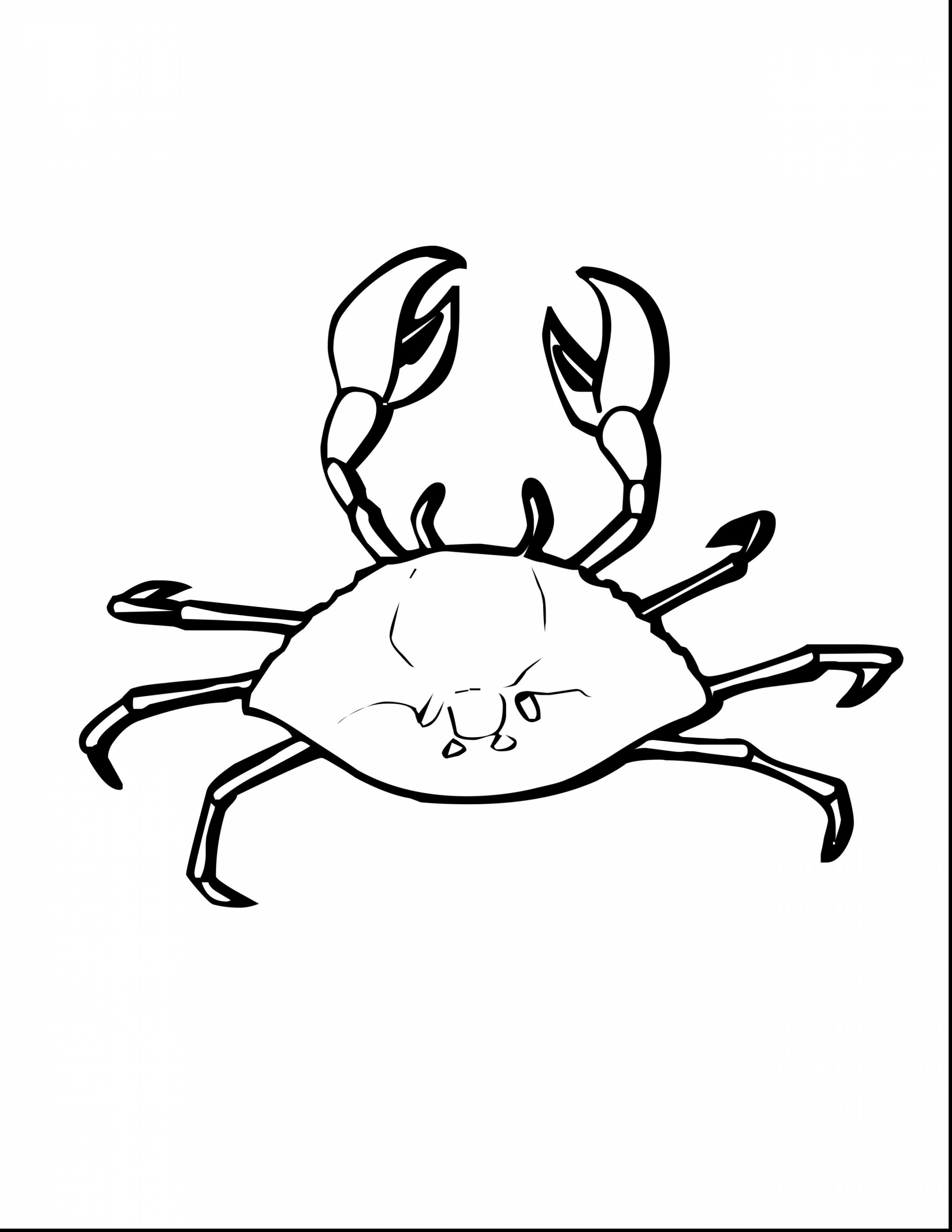 2805x3630 Best Unbelievable Horseshoe Crab Cartoon With Coloring Pages