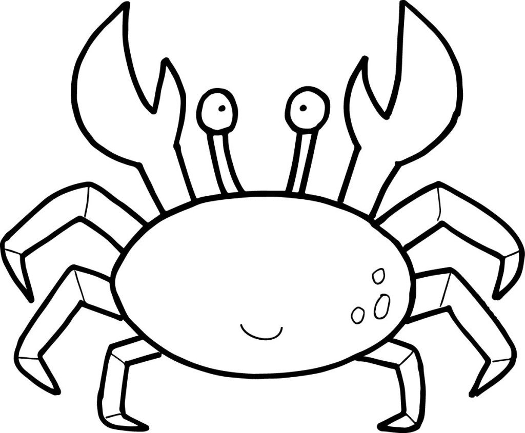 1024x845 Hermit Crab And Star Fish Coloring Page Free Pages Crabs Other