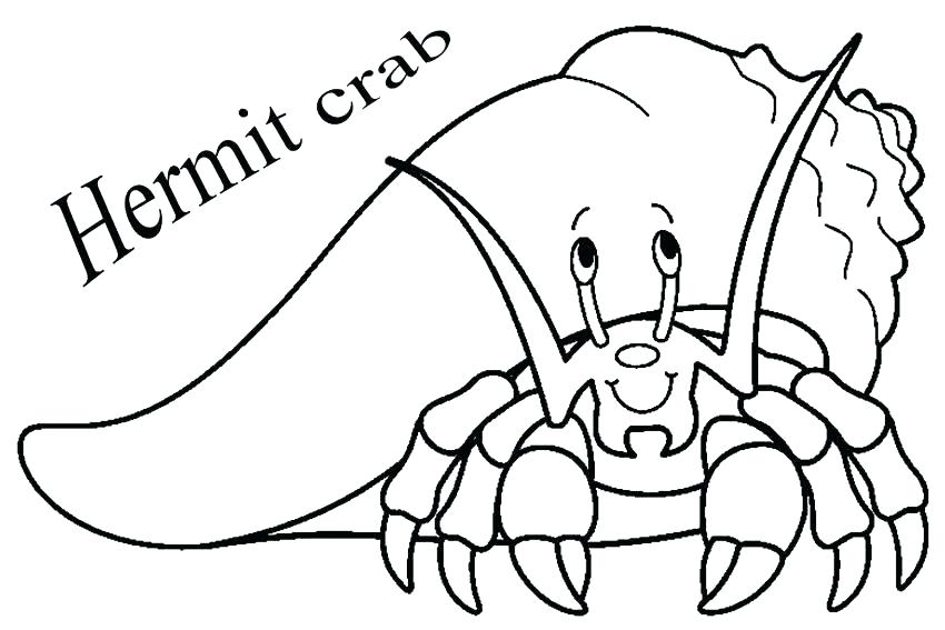 850x567 Horseshoe Crab Coloring Page