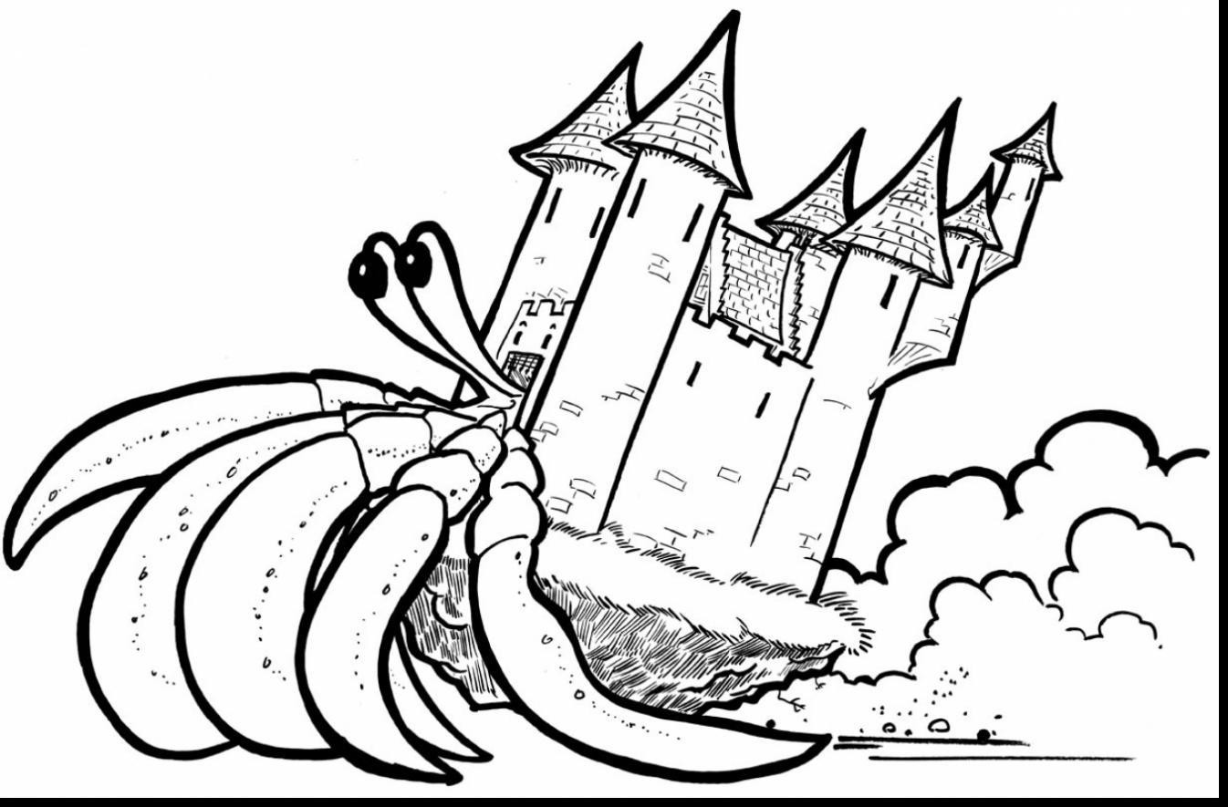 1346x885 Horseshoe Crab Drawing 35 15 Coloring Page