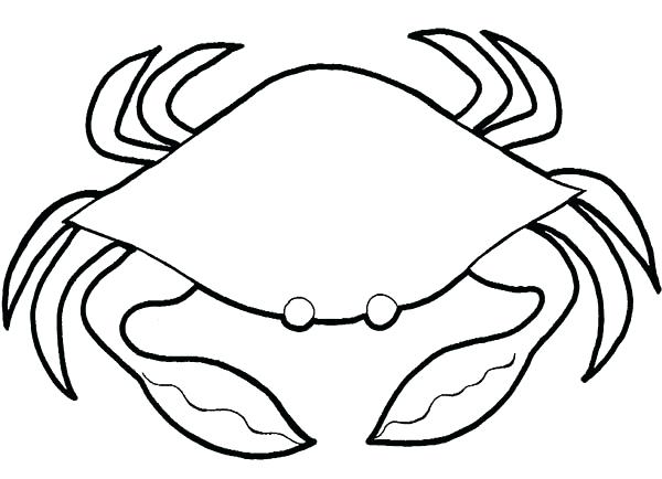 600x434 Horseshoe Crabs Coloring Page Snakes N Scales Snakes N Scales Mr