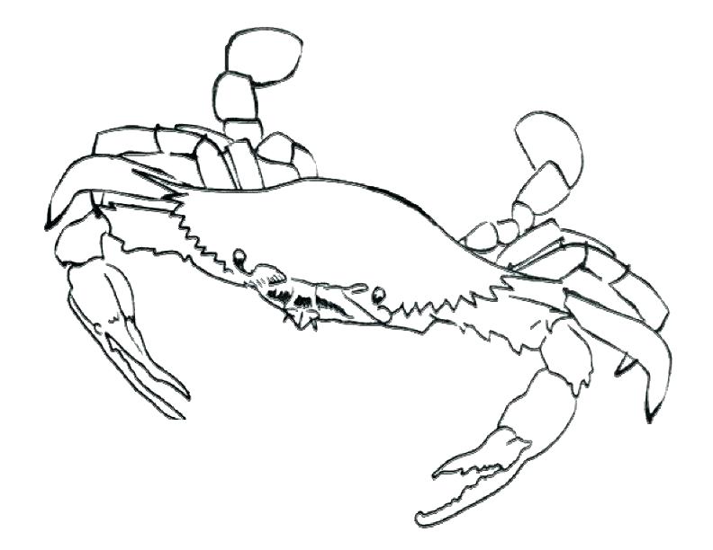 792x612 Crab Coloring Pages