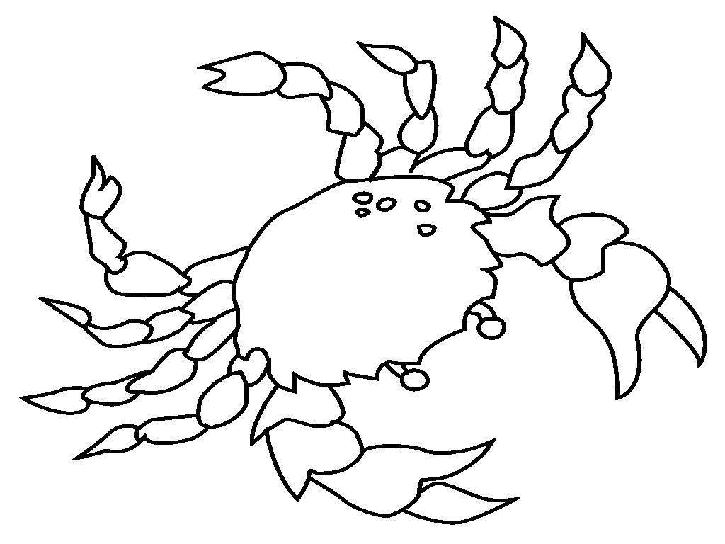 1024x768 Horseshoe Crab Coloring Pages Archives Albore.us