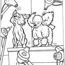 220x220 Hotel For Dogs Coloring Pages