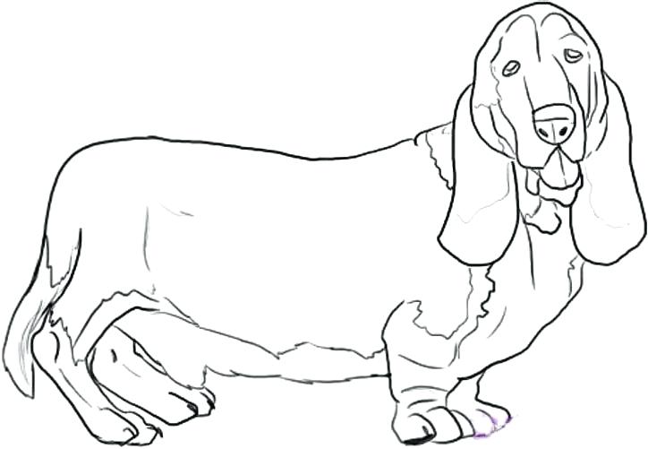 724x501 Hound Coloring Pages Basset Hound Coloring Pages Basset Hound Dog