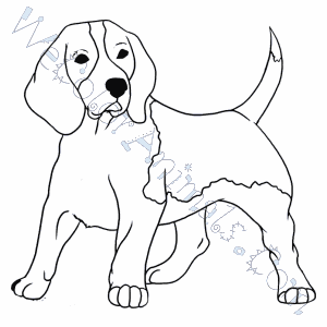 300x300 Hound Dog Coloring Pages
