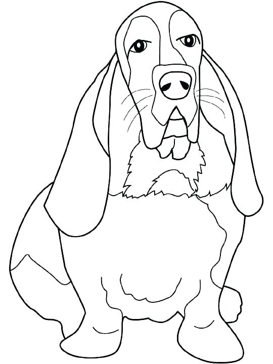 540x720 Basset Hound Coloring Pages