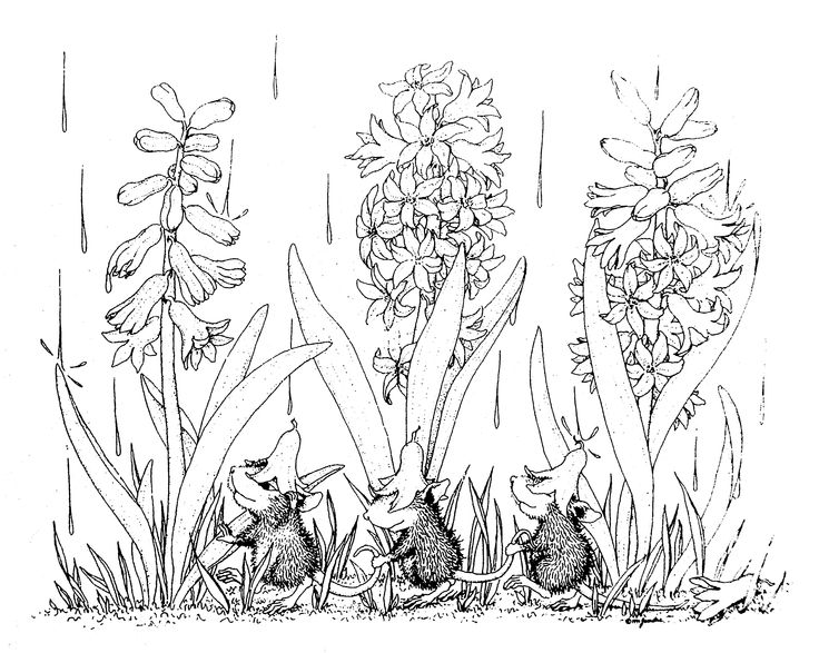 House Mouse Coloring Pages
