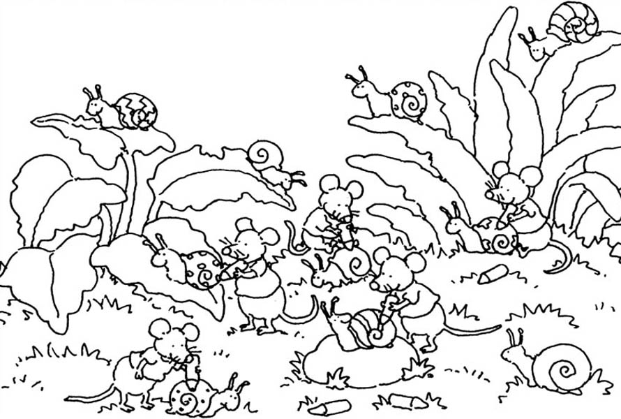 890x600 House Mouse Coloring Book