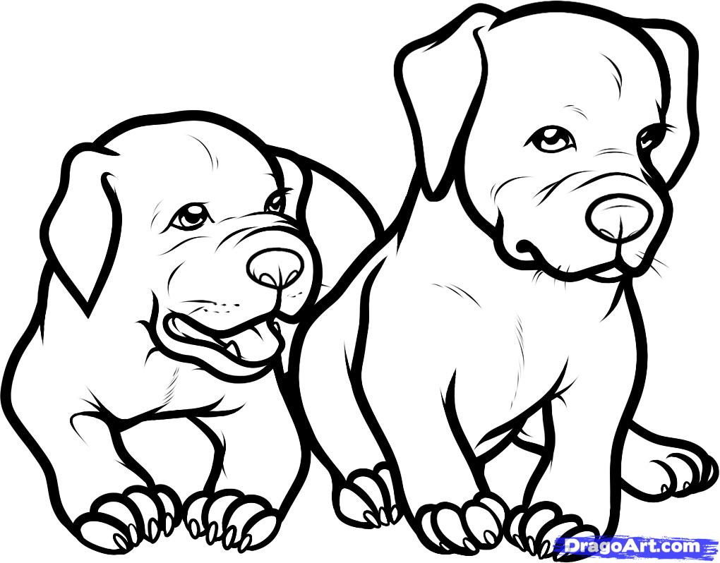 1020x798 Drawn Bull Coloring Page Pencil And In Color How To Draw Pages