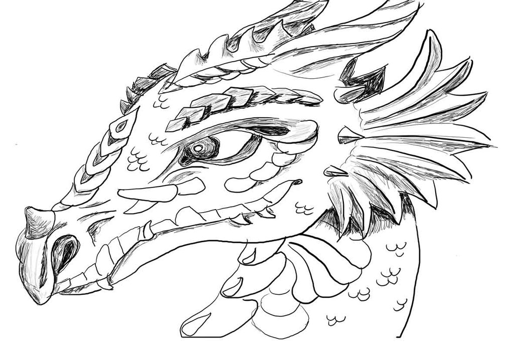 1024x724 How To Train Your Dragon Coloring Pages All Dragon By Rain Your