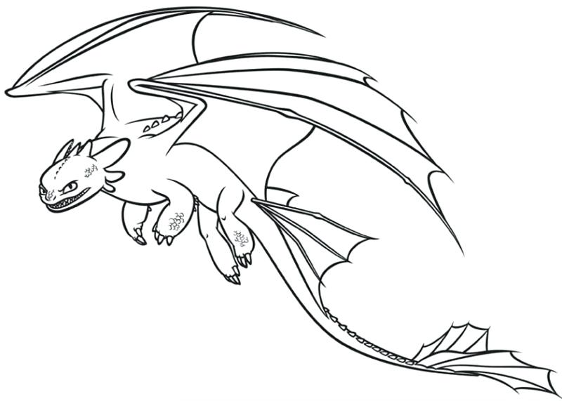 800x571 Night Fury Coloring Pages Night Fury Coloring Page How To Train