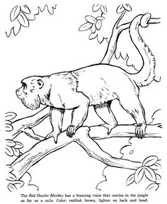236x288 Free Printable Moose Coloring Pages For Kids Moose, Adult