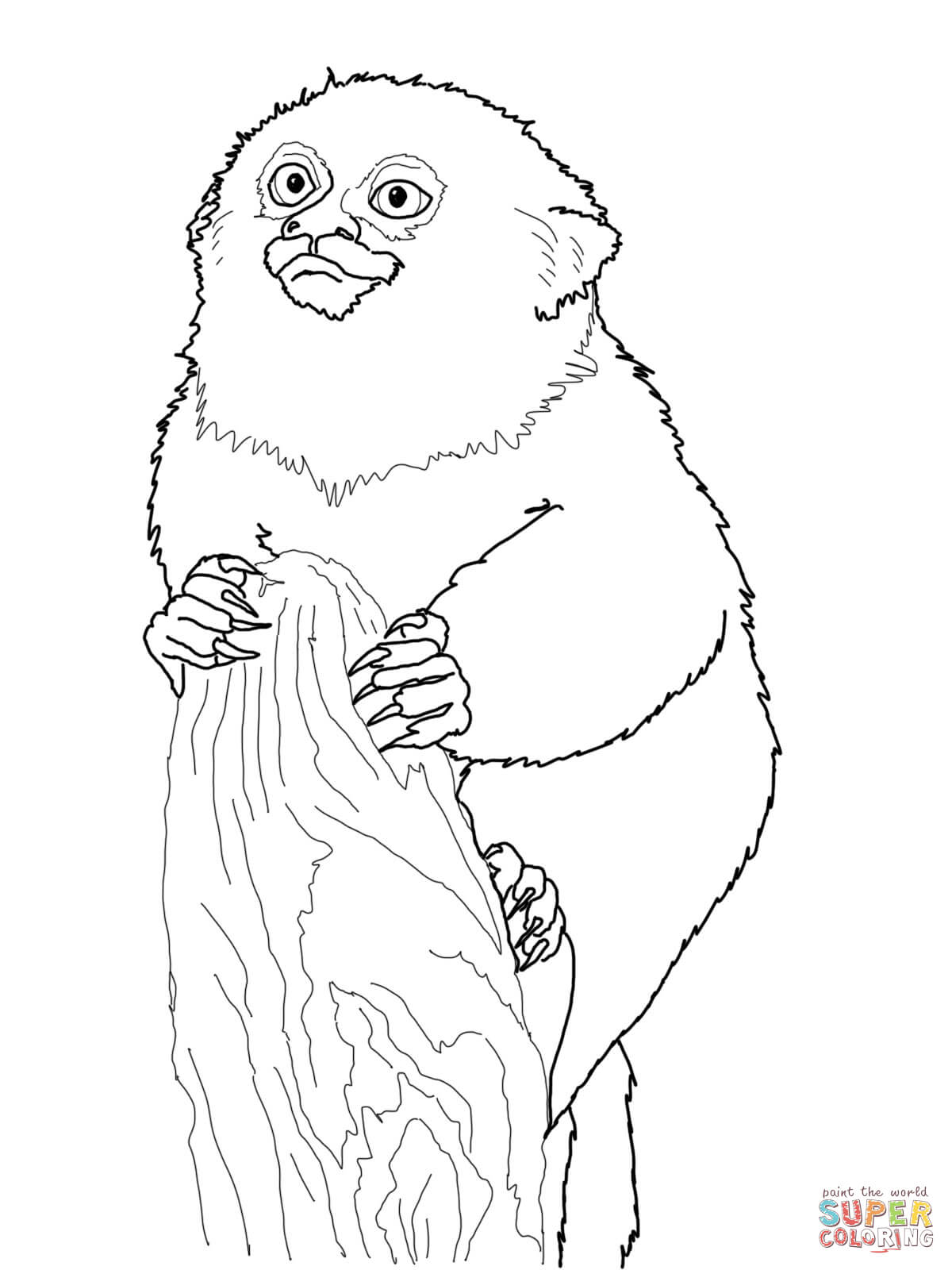 1200x1600 Howler Monkey Coloring Page