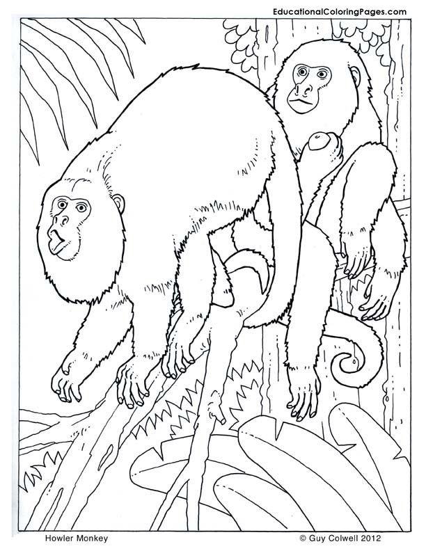 612x792 Howler Monkey Coloring Page Best Of 115 Best Animal Coloring Books