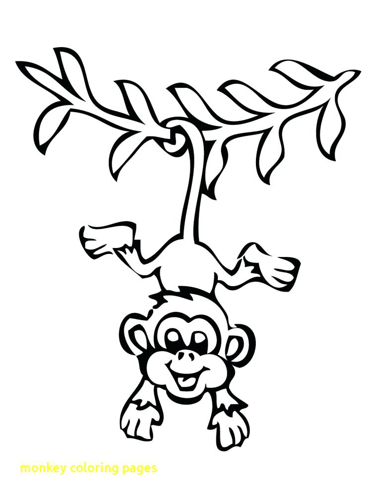 750x1000 Monkey Coloring Sheet M Is For Monkey Coloring Page Spider Monkey